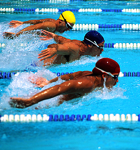 ZEDSPORT-Swimming-Sport Management Systems
